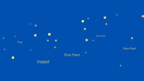 Frog and insect kanji moving through a glowing rice field
